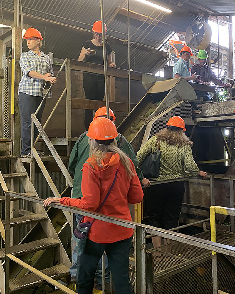 People in hard hats climbing stairs in an agricultural storage facility.