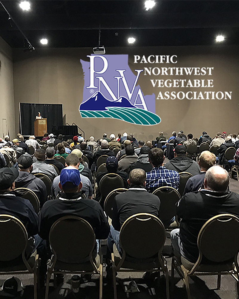 Conference attendees listen to a presenter at the Pacific Northwest Vegetable Association Conference.