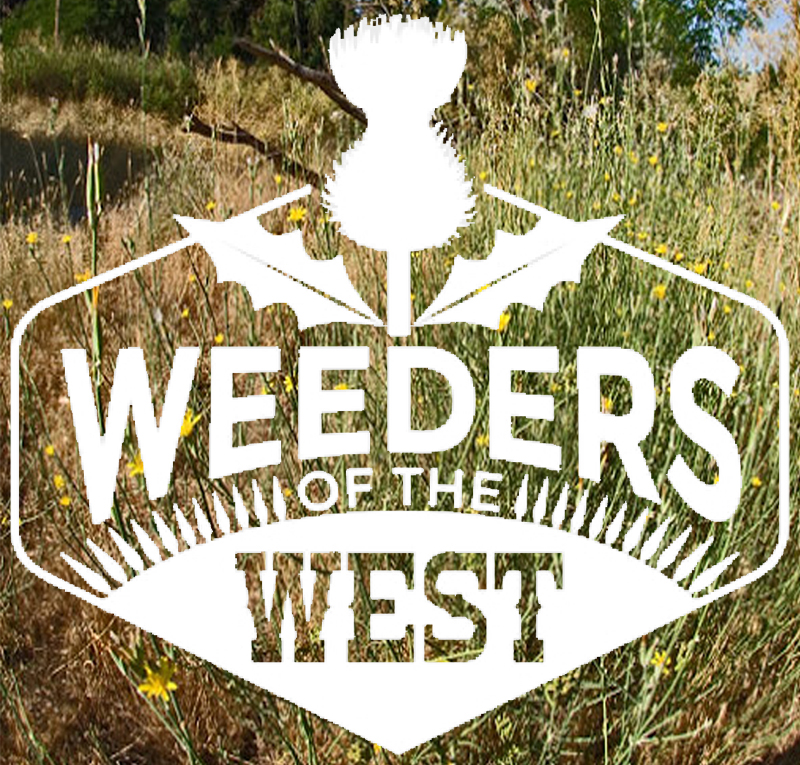 Drawing of a thistle and the words “Weeders of the West” over a background of weeds.