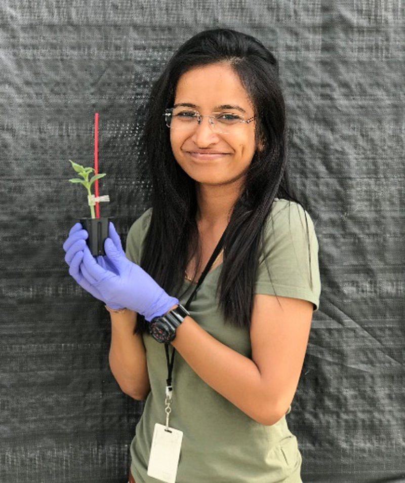 Smiling woman holds a small plant in gloved hands.