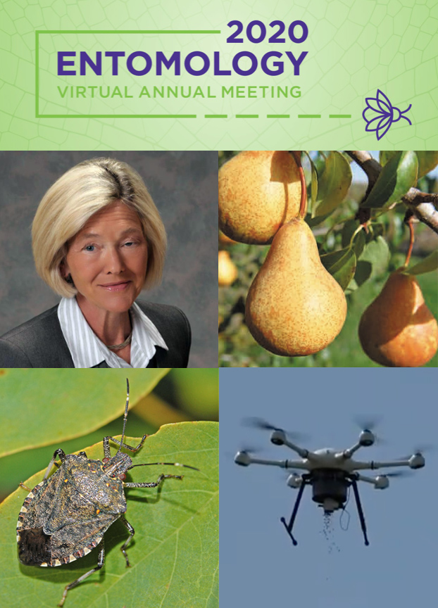 A photo collage shows Entomological Society logo, scientist Betsy Beers, pears on a tree, a stink bug, and a drone.
