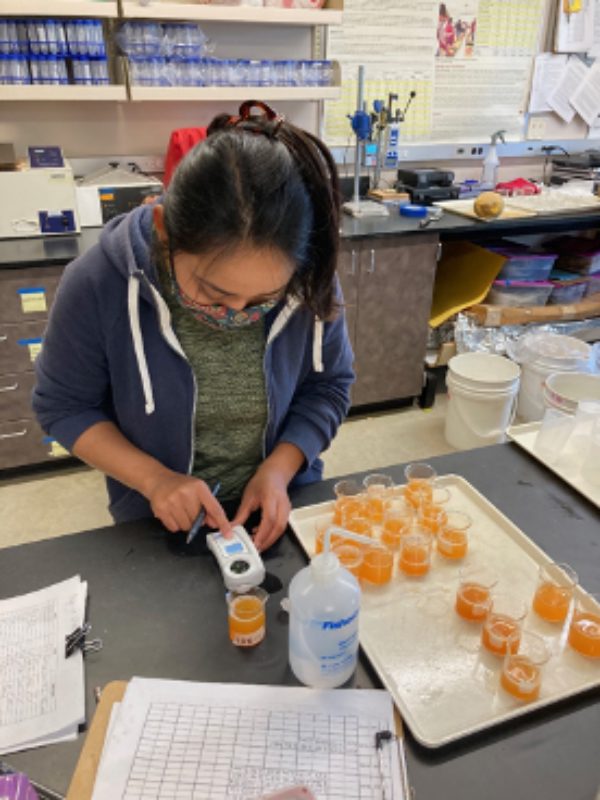 Scientist with tray of liquid samples and a hand-held monitoring device.
