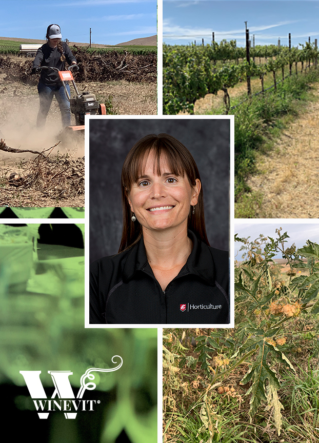 Extension Viticulturist Michelle Moyer’s face surrounded by images of working in grape vineyards.