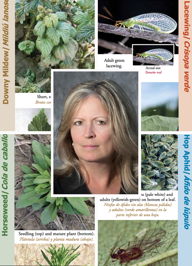 Research and Extension Communication Specialist Sally O’Neal’s face surrounded by images of various pages of an illustrated book.