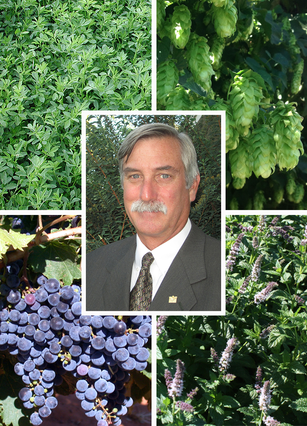 IPM Coordinator and Extension Entomologist Doug Walsh’s face surrounded by images of alfalfa, hops, mint, and grapes.