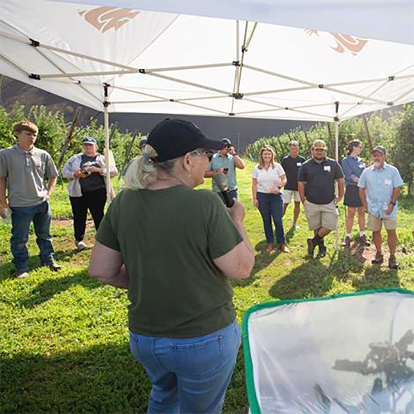 Person with a microphone speaking to a group under a canopy in an orchard.