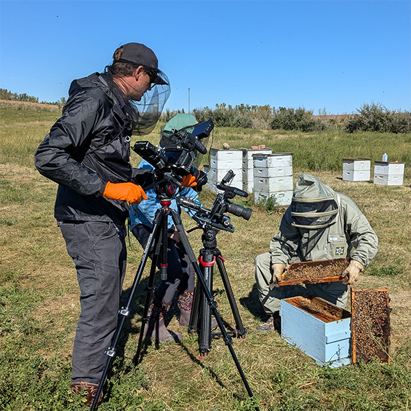 Two people with cameras on tripods filming a person kneeling over a beehive.