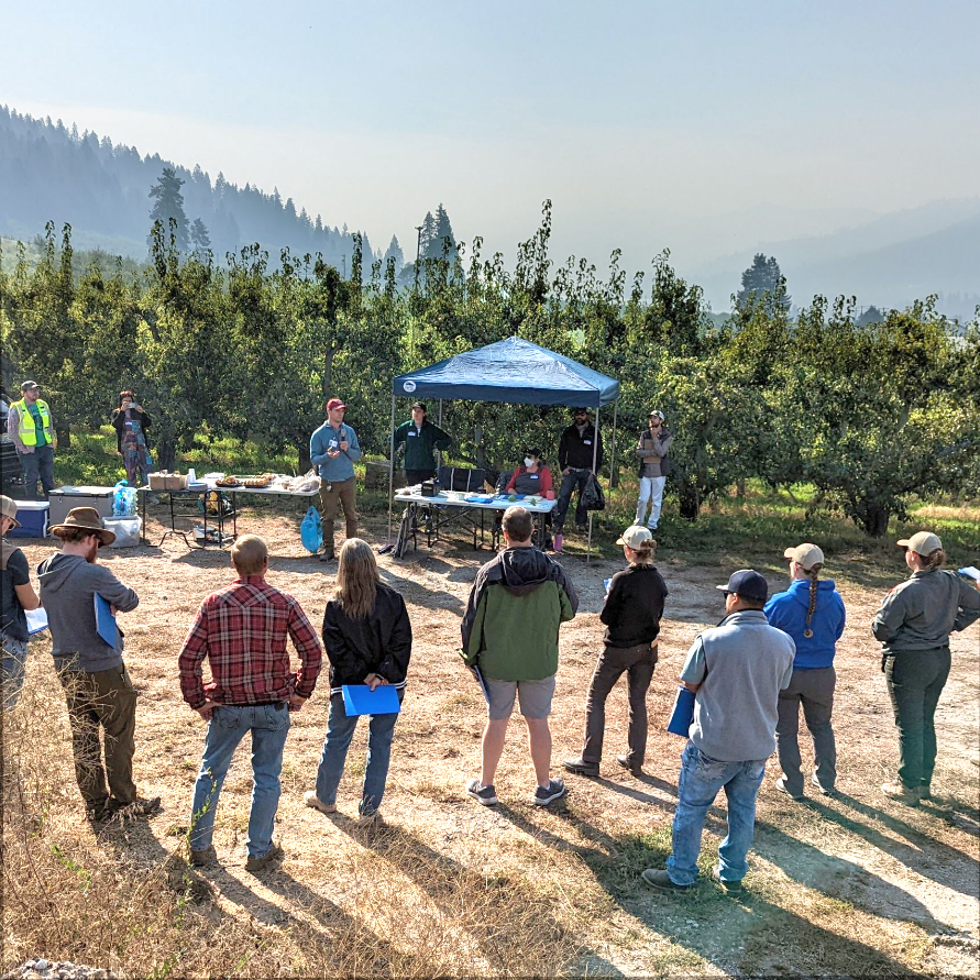 About a dozen people standing in an orchard listening to a talk.