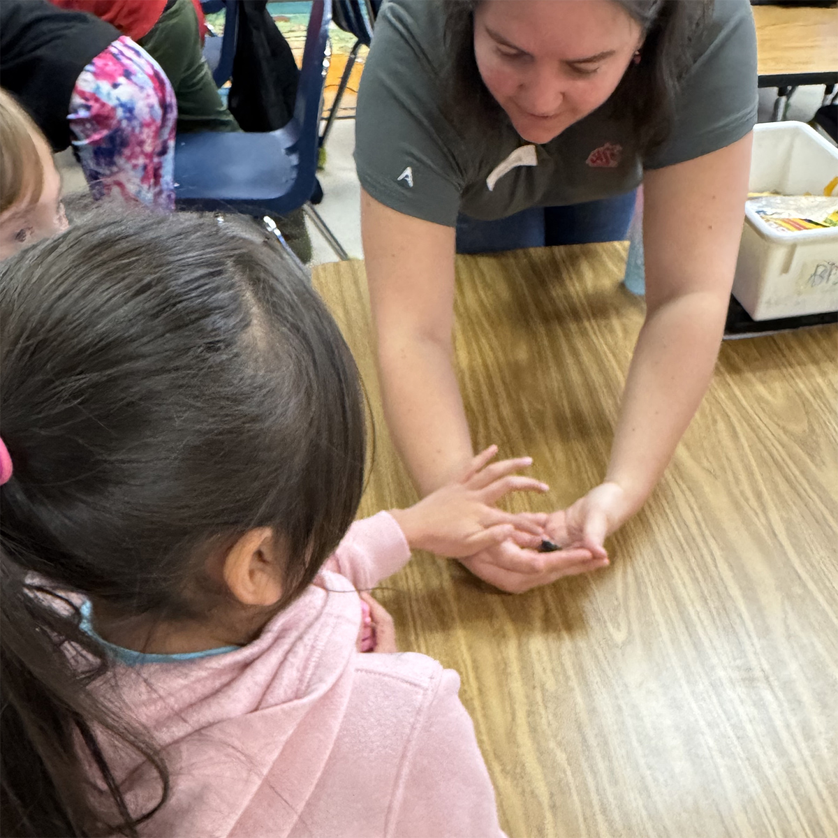 Child looking at an insect in an adult’s cupped hands.