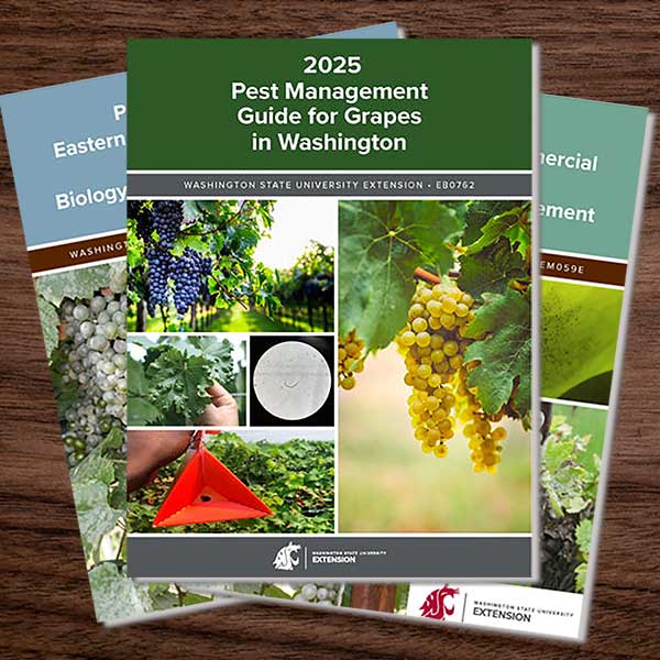 Three publications about grapes on a tabletop.