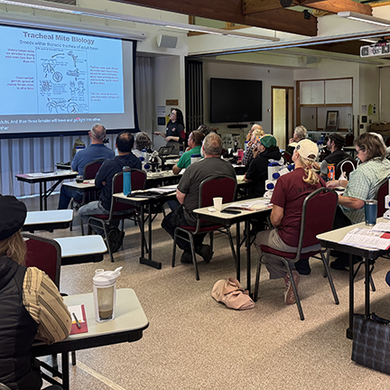 Classroom of adults watching a Powerpoint presentation.
