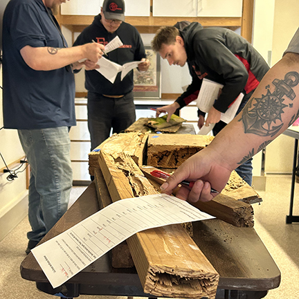 People crouching with paper and pen over pieces of wood.