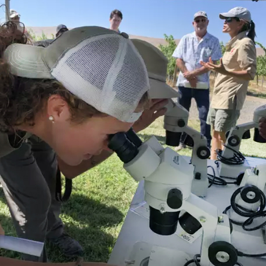Person peering into a microscope while people talk in the background.