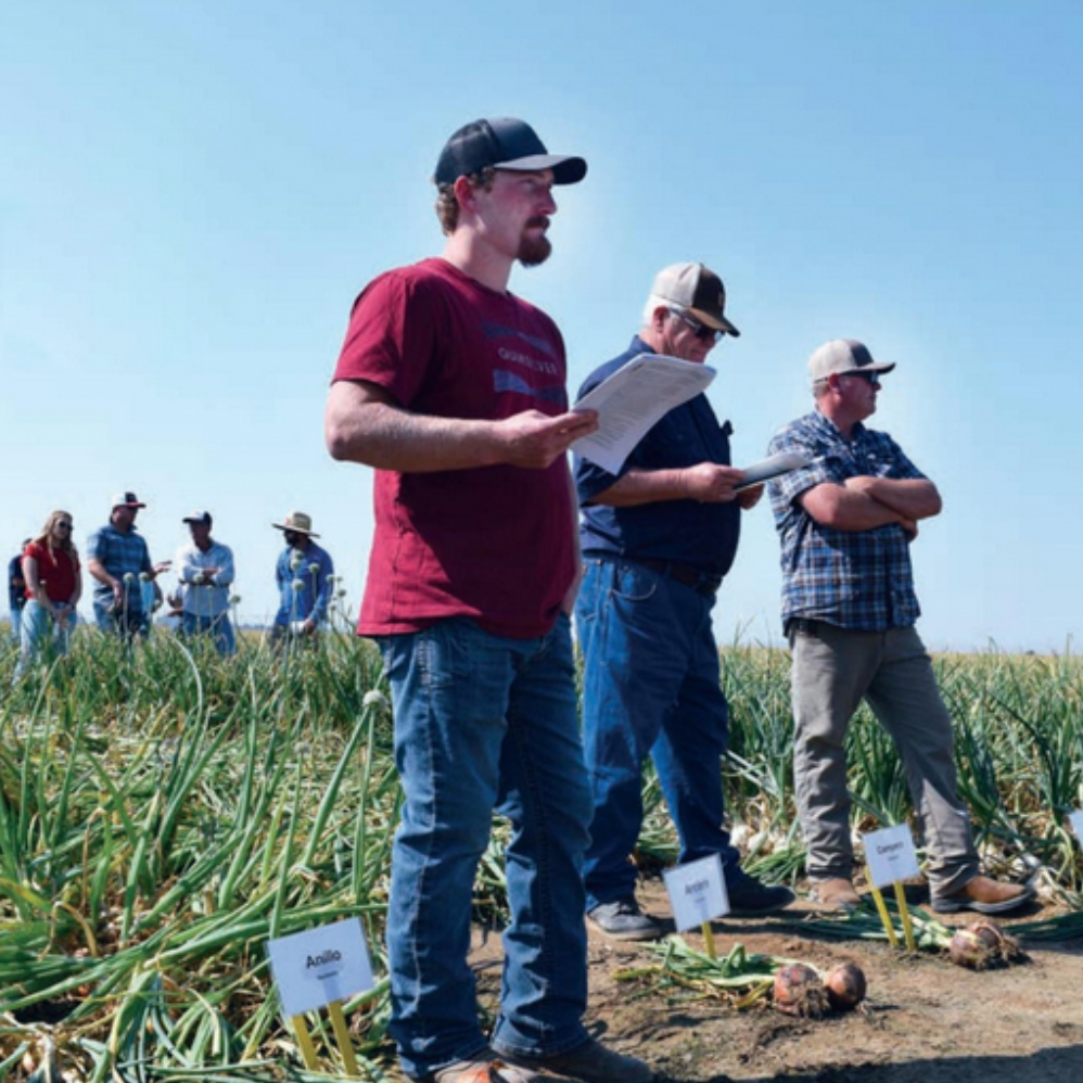 People in hats holding papers and standing in an onion field.