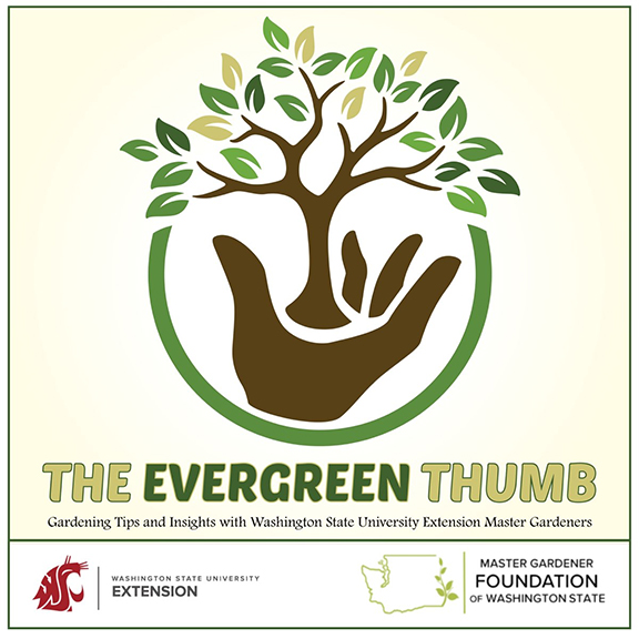 Logo with a tree sprouting from a human hand and the words “The Evergreen Thumb.”