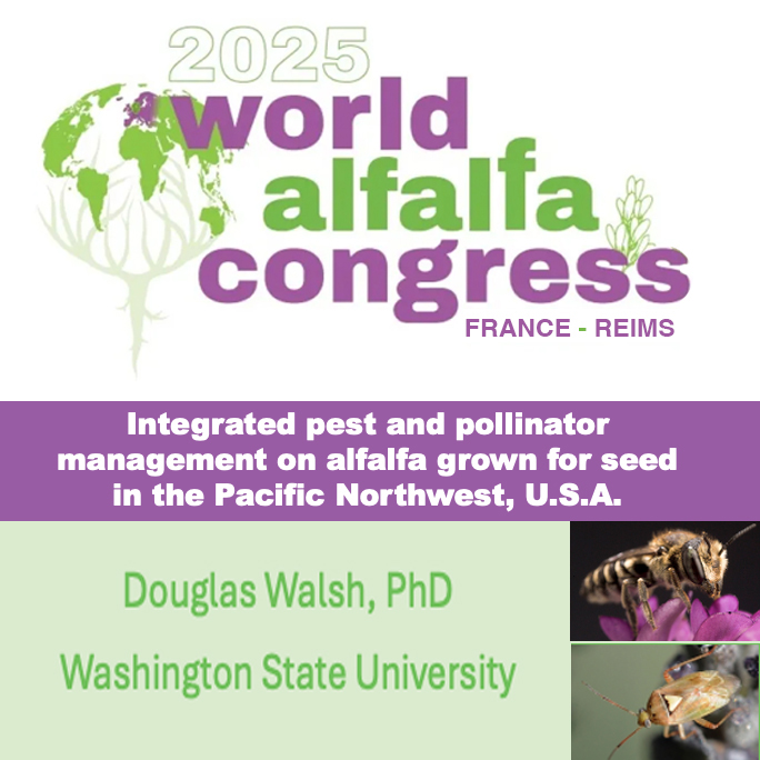Logo of the 2025 World Alfalfa Congress along with title of Walsh’s presentation.