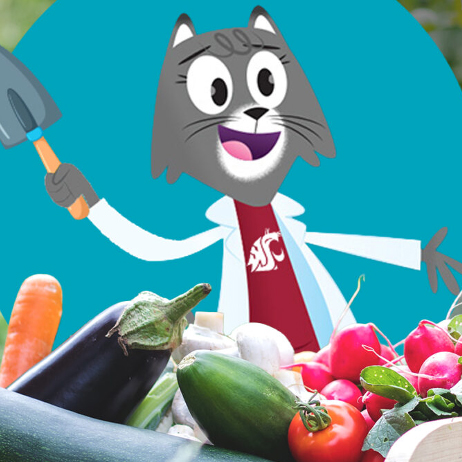 Cartoon cat with WSU T-shirt, lab coat, and trowel overlooking a pile of vegetables.