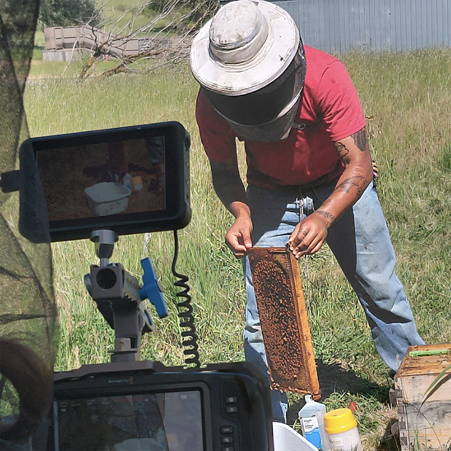 A person wearing a protective hat and holding a bee board is being filmed.