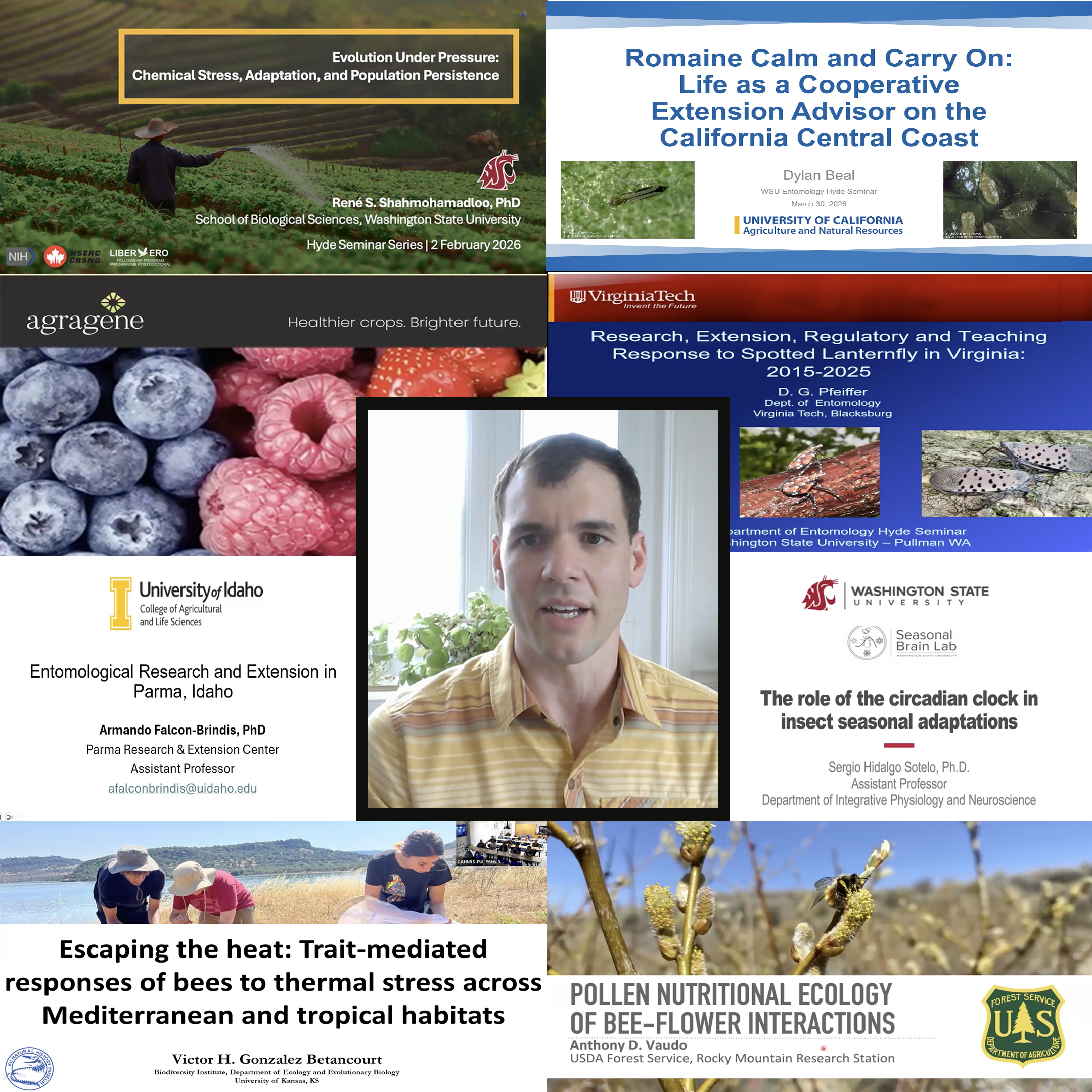 Photo collage of a person’s head surrounded by many colorful Powerpoint slides.