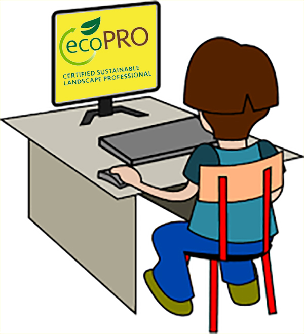 Cartoon character in front of computer with ecoPRO logo on screen.