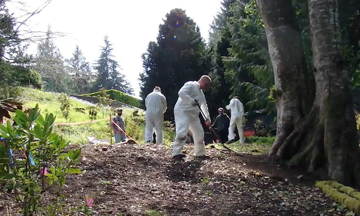 White-suited workers remove infected and adjacent plants.