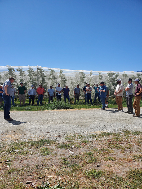 A group of 18 people stand in a netted orchard listening to a talk