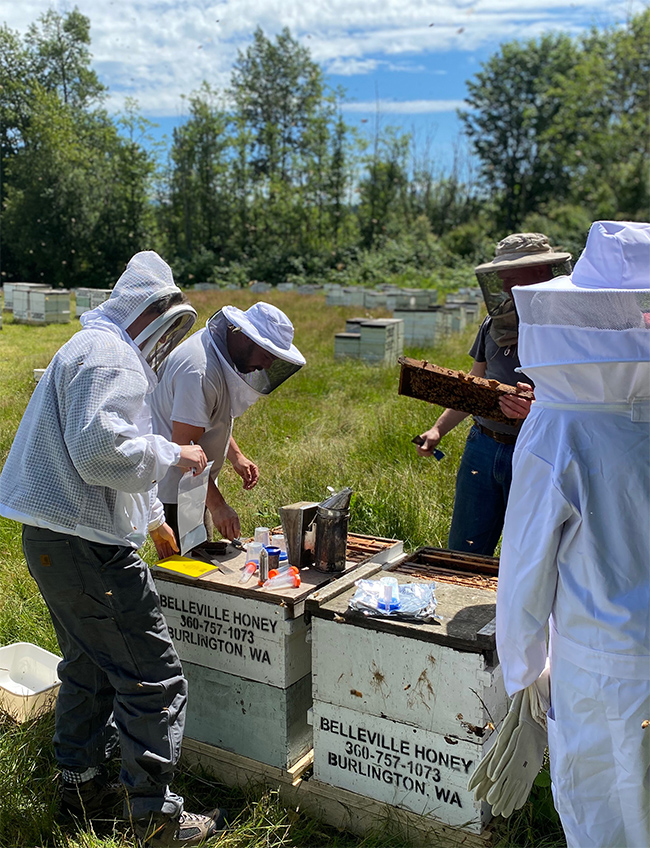Four people in bee-protective suits and headgear surrounding white bee boxes in a field.