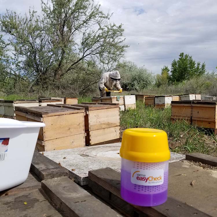 Beekeepers can use a simple shaker device to monitor for varroa mites in their apiaries.