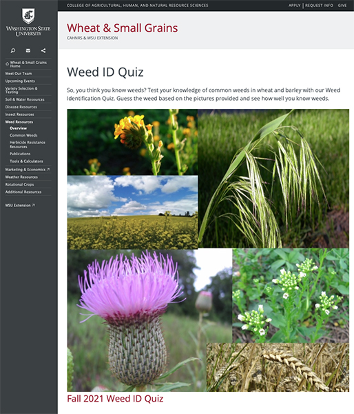 Weed ID Quiz web page with photos of several weeds