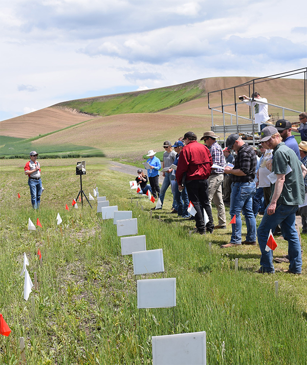 A group listening to a presentation in a green field with signs and flags