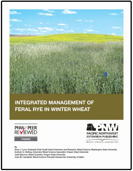 Cover of newly updated publication, Integrated Management of Feral Rye In Winter Wheat, shows a weedy wheat field.