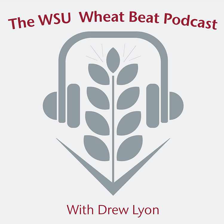Logo for "The WSU Wheat Beat Podcast with Drew Lyon." Graphic shows headphones on a stalk of wheat.