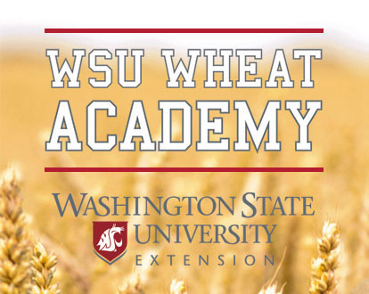 WSU Wheat Academy logo.