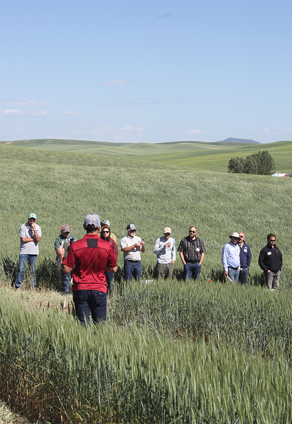A dozen or so people outdoors in a field.