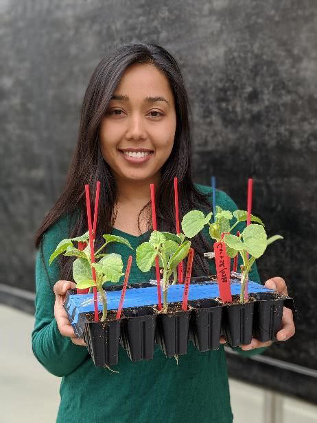 Smiling woman holds tray of small grafted plants.