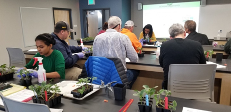 Students in a lab working with small plants.