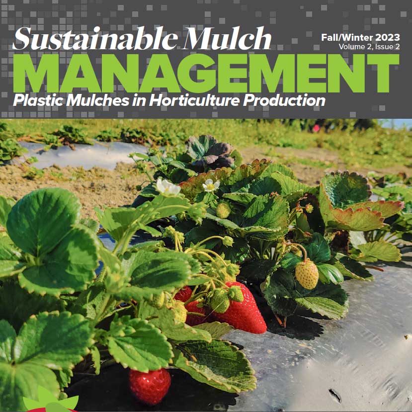 "Sustainable Mulch Management" pdf cover with strawberry plants.