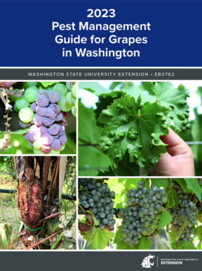 Cover of grape pest management guide shows diseased or misshapen leaves and fruit.