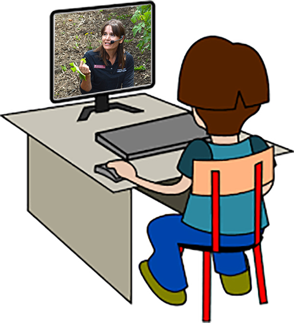 Cartoon computer user viewing scientist in grape vineyard on screen.