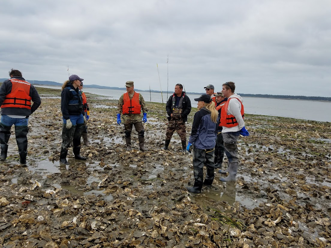 A group of people in waders and life vests standing in a shallow oyster bed.