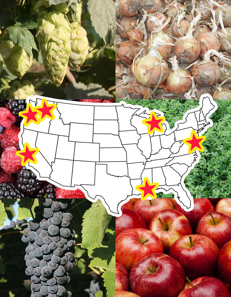 United States map with stars on Washington, Oregon, California, Michigan, Louisiana, and Washington DC and photos of hops, onions, berries, alfalfa, grapes and apples in the background.