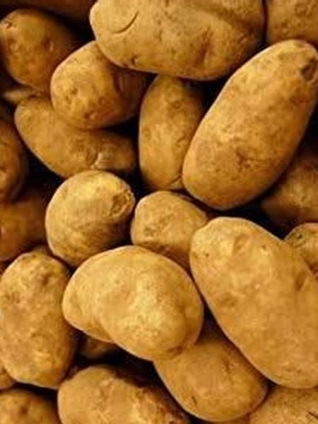 Potatoes