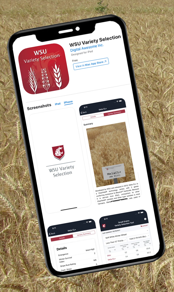 Smartphone screen showing logo and information about new wheat and small grains Variety Selection app.