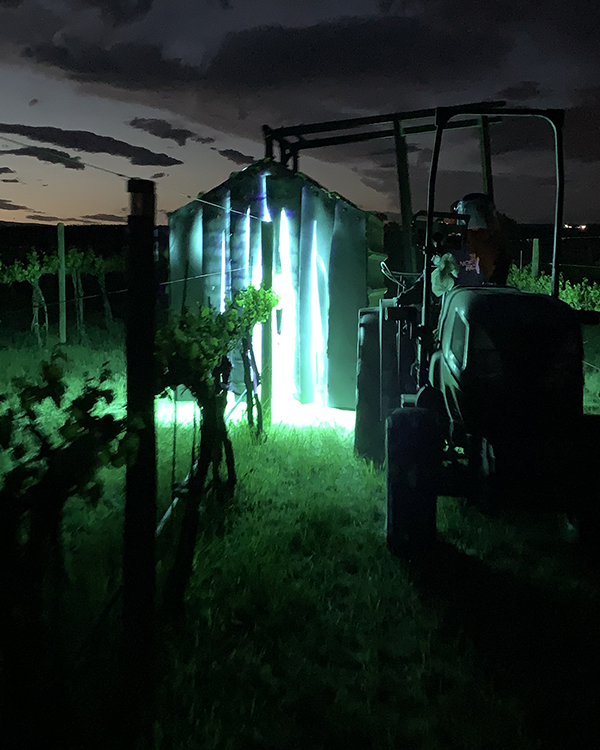 Bright greenish-white lights dangle from a tractor in a vineyard at night.