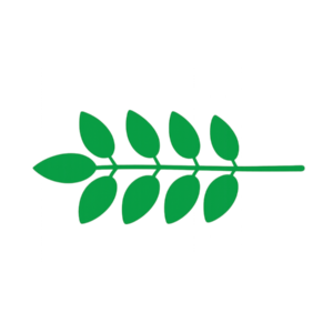 pinate-compound-leaf