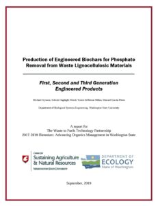 Illegible screenshot of report cover.