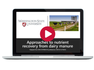 Laptop with screenshot from video superimposed, over text says Approaches to nutrient recovery from dairy manure.