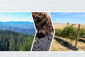 Graphic with image of forest, biochar, and crops.