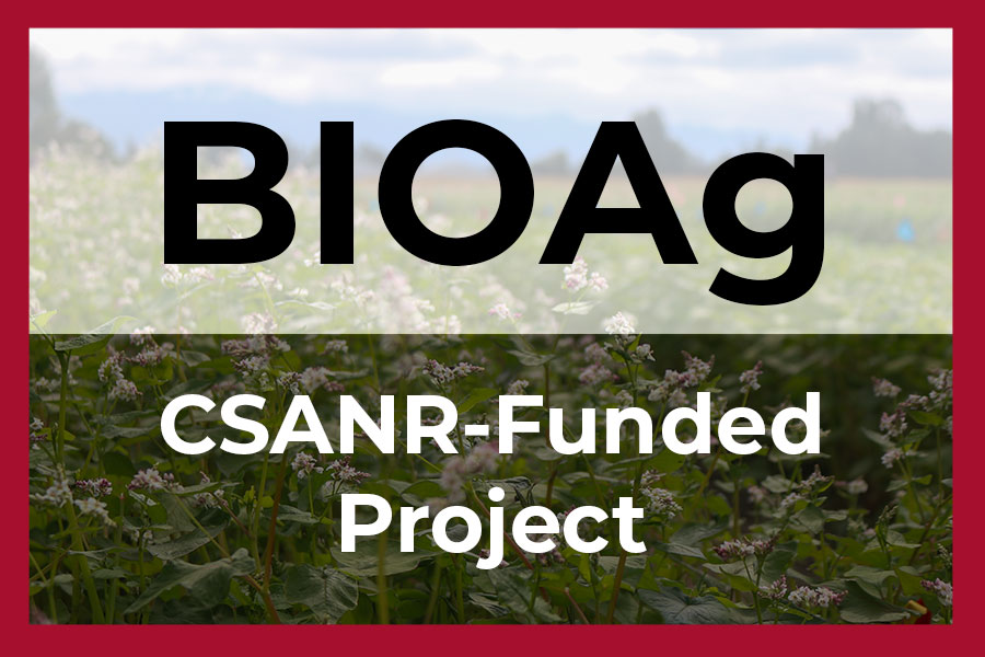 Graphic that says BIOAg CSANR-funded project.