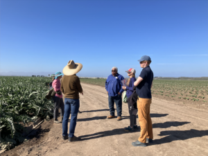 Five people talking on a road through a field